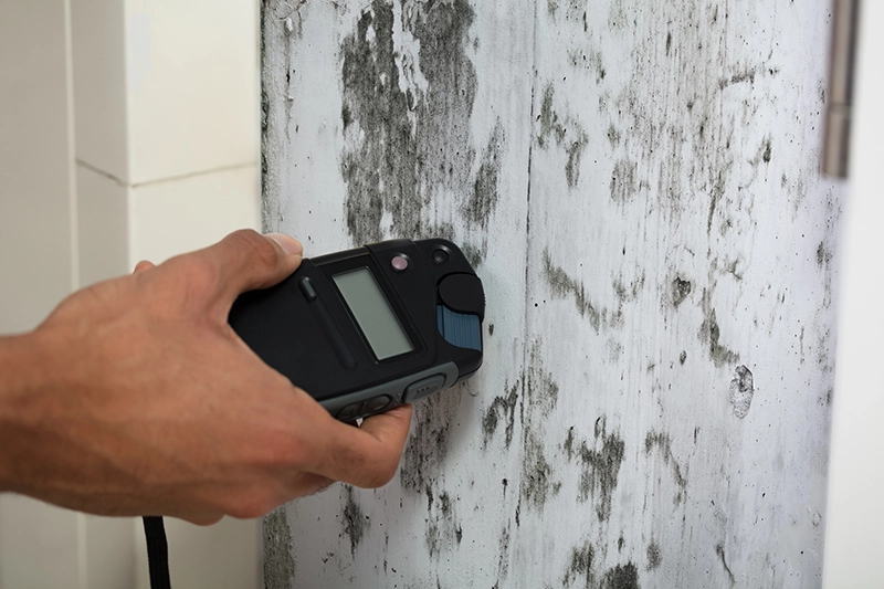 Mold Inspection Services