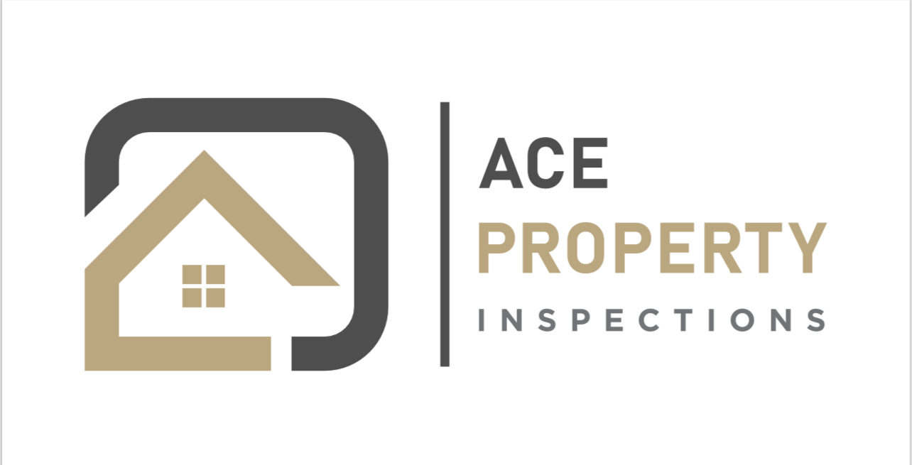 Ace logo